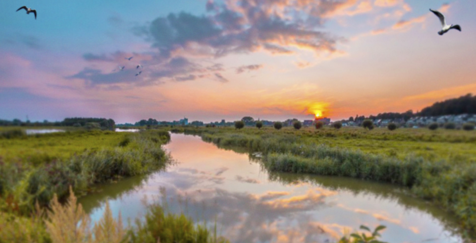 Social Deal de Betuwe image