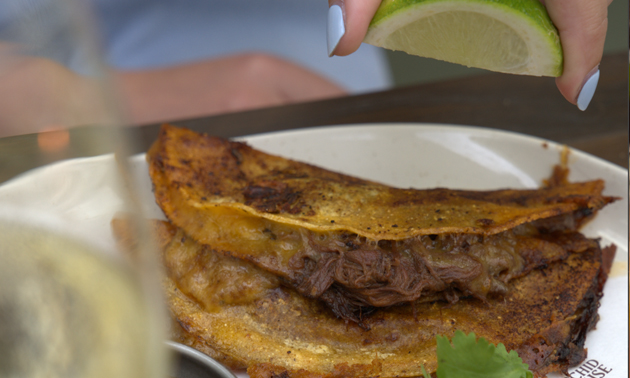 Orchid House
